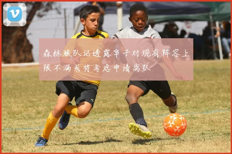 森林狼队记透露华子对现有阵容上限不满或将考虑申请离队